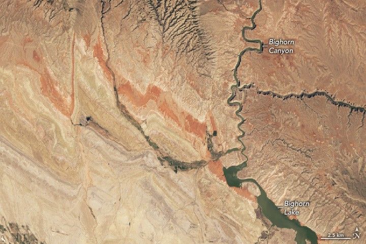 The meandering Bighorn Canyon enters the image at the top center and joins Bighorn lake in the lower right. The landscape surrounding it id beige with reddish strips.