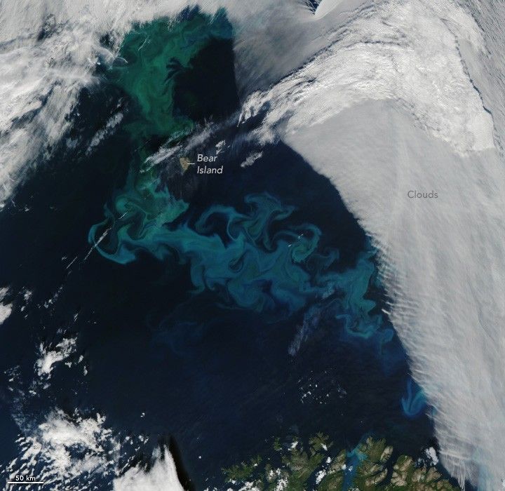 A blanket of clouds obscures the Ocean on either side of Bear Island. The ocean around Bear Island has swirls of teal and seafoam in the otherwise dark blue ocean.