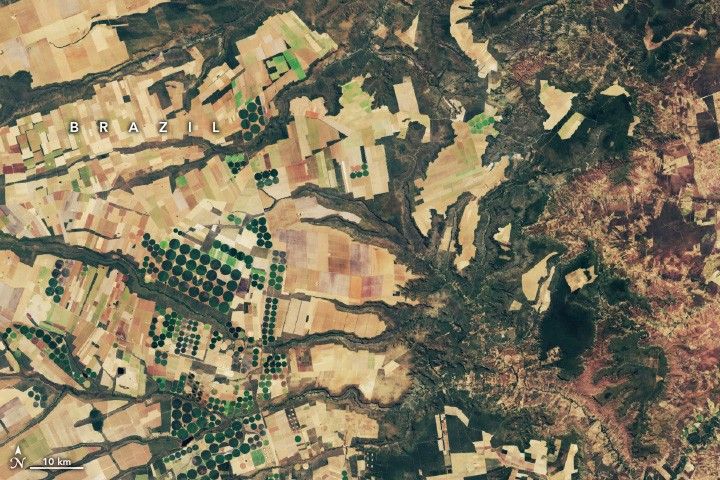 Fields in Brazil are primarily divided into rectangles but include circular fields of vibrant green. The right side of the image has far fewer fields and is filled with a craggy naturally foliated landscape.
