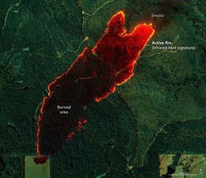 amid an image full of a variety of shades green of foliage there is a dark swath labeled burned area outlined by a bright red and yellow colored area labeled active fire via infrared heat signature. The more upper right portion of the image has the widest and most vibrant red and yellow active fire