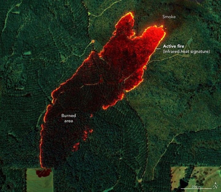 amid an image full of a variety of shades green of foliage there is a dark swath labeled burned area outlined by a bright red and yellow colored area labeled active fire via infrared heat signature. The more upper right portion of the image has the widest and most vibrant red and yellow active fire