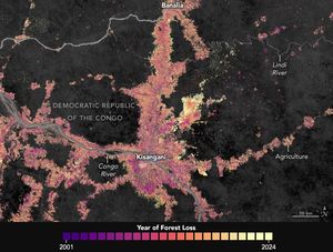 a color gradient map ranging from indigo to yellow corresponding to forrest loss over time where yellow is more recent and indigo is from 2001. The forest loss consolidates around Congo river and tributaries, particularly spreading away from Kisangani