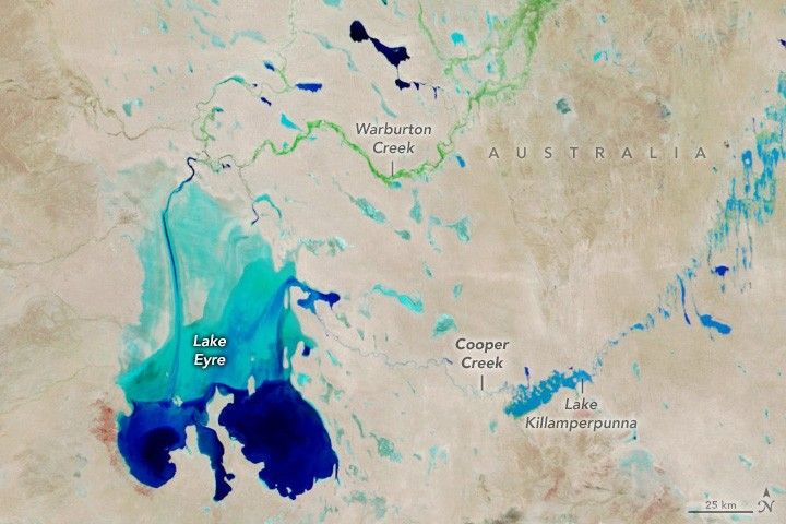 Lake Eyre is shown on the left the northern portion a vibrant bright blue and the southern is a rich saturated blue. Warburton creek, bright green, feeds into the lake at the top and Cooper Creek connects Lake Eyre to Lake Killamperpunna, a much smaller lake, in the lower right.