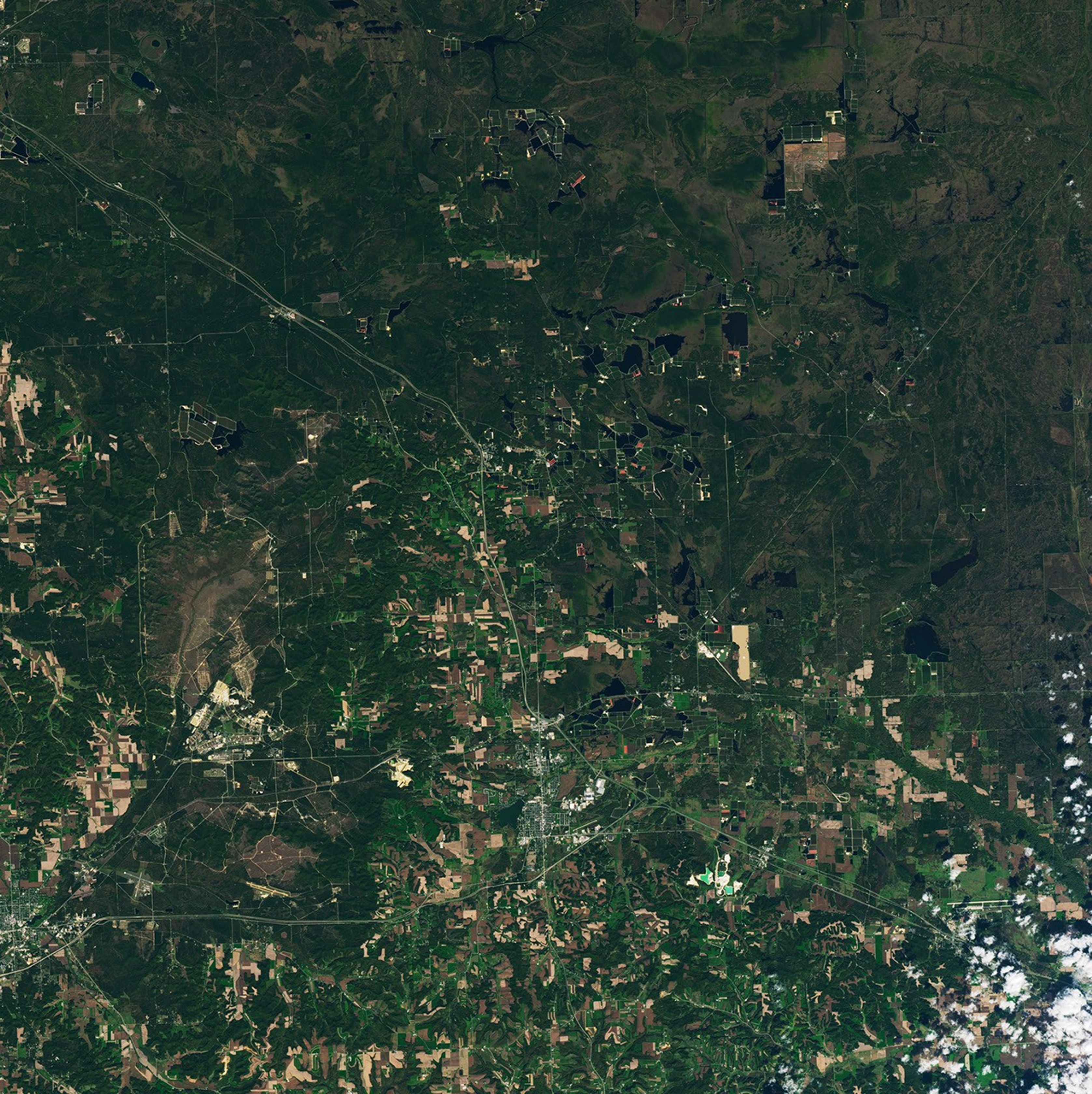 A satellite image of central Wisconsin shows a smattering of cultivated cranberry beds, which are mostly rectangular in shape and adjacent to small lakes. The beds have well defined parallel rows. Most are green, but some appear pink. Dark green vegetation and other agricultural fields cover the rest of the land, and the small town of Warrens is visible on the left side of the image.