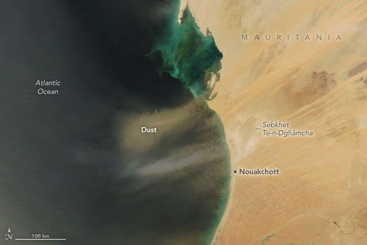 A yellow cloud of Dust is seen over the dark Atlantic Ocean off the coast of sand covered Mauritania. The capital, Nouakchott, is labeled on a the smooth curved portion of the coast. A patch of slightly different colored land, just off the coast above the capital, also seems to be putting dust into the atmosphere parallel to the yellow dust cloud, it is lighter in color than the yellow dust plume.