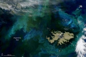 Swirling distinct shades of light and medium blue as well as green are suspended in the deep blue Argentine sea all around the Falkland Islands in the lower right. Some thin cloud coverage appears in the upper left and one opaque white cloud sits in the lower right corner.