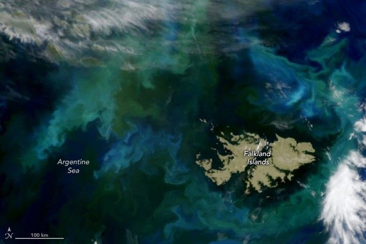 Swirling distinct shades of light and medium blue as well as green are suspended in the deep blue Argentine sea all around the Falkland Islands in the lower right. Some thin cloud coverage appears in the upper left and one opaque white cloud sits in the lower right corner.