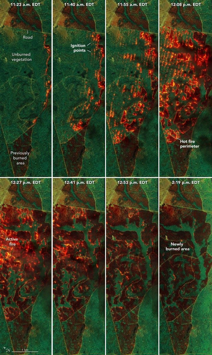 A grid of eight images over time span 11:23 am EDT to 2:19 pm EDT. initially there is a green landscape with an orange slim boundary along the right edge of the area. By the fourth image in the series the land is mostly covered in orange and darkened areas indicating where the fire has been and is currently burning.  By the last image there are a few slightly orange specs and small stretches of foliage that did not burn, but the majority of the region is left dark brown as newly burned areas.