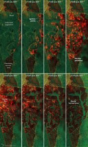 A grid of eight images over time span 11:23 am EDT to 2:19 pm EDT. initially there is a green landscape with an orange slim boundary along the right edge of the area. By the fourth image in the series the land is mostly covered in orange and darkened areas indicating where the fire has been and is currently burning. By the last image there are a few slightly orange specs and small stretches of foliage that did not burn, but the majority of the region is left dark brown as newly burned areas.
