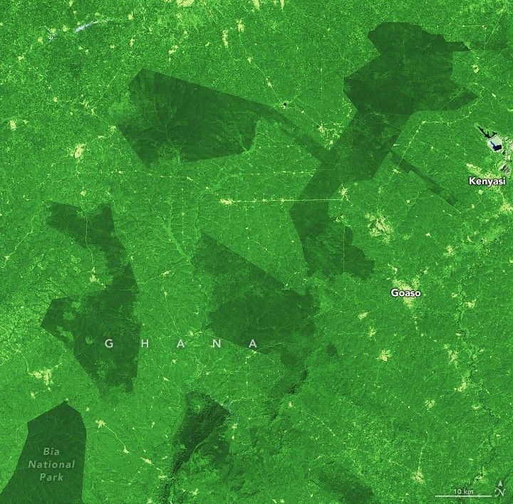 A vibrant green landscape is broken up by a few precise borders of darker green foliage. In the bottom left one of those areas is Bia National Park, darker in color than any other part of the picture. A few spots and streaks appear a very light green or yellow as they are regions cleared for human settlement, Kenyasi and Goaso on the right side of the image are the two labelled areas where this is seen.