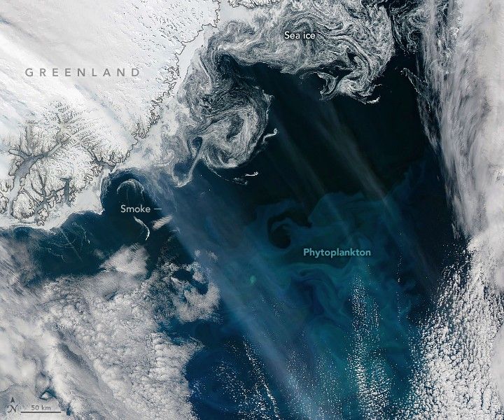 Greenland is in the top left of the image, with swirling white sea ice along the coast. Clouds obscure the right edge and bottom left. Between the bordering clouds the Ocean is visible, including a phytoplankton bloom that lightenes the shade of the otherwise deep blue waters. A streak of haze is visible sweeping between the clouds as well and is labeled Smoke.