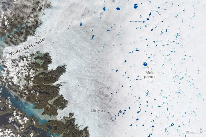Coastal land frames the left of the image with channels of water and the Nordenskiöld Glacier in the upper left portion of the image. To the right is slightly darkened ice, labeled as dirty, and at the right edge of the image bright white ice is speckled with light blue melt ponds, many with little streams attached.