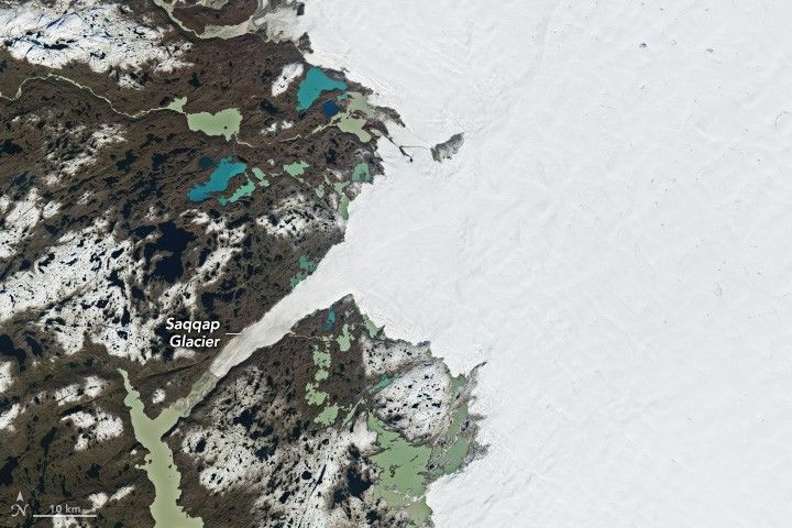 The entire right half of the image is covered in fresh bright white snow and the Saqqap Glacier that extends from the ice pack into the lake spotted gray landscape
