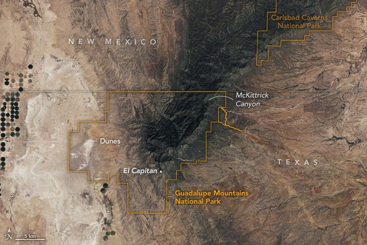satellite image along the Texas (right) and New Mexico (left) border. An orange border overlay outlines the Guadalupe Mountains National Park in which McKittrick Canyon resides and is in the center of the image. Diagonally down and left on this dark colored mountain range is El Capitan, and to the left of that are light colored smooth formations labeled dunes. In the upper right corner of the image is another orange outline for Carlsbad Caverns National Park.