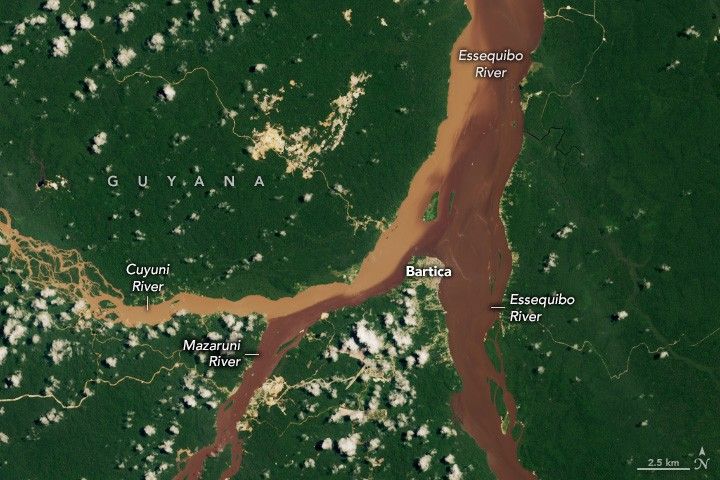 The Cuyuni, Mazaruni, and Essequibo Rivers converge in this image. The Cuyuni is light tan and the other two rivers are a dark brown color. The surrounding landscape is deep green and a human settlement, Bartica, is visible on the peninsula tip at the river convergence point.