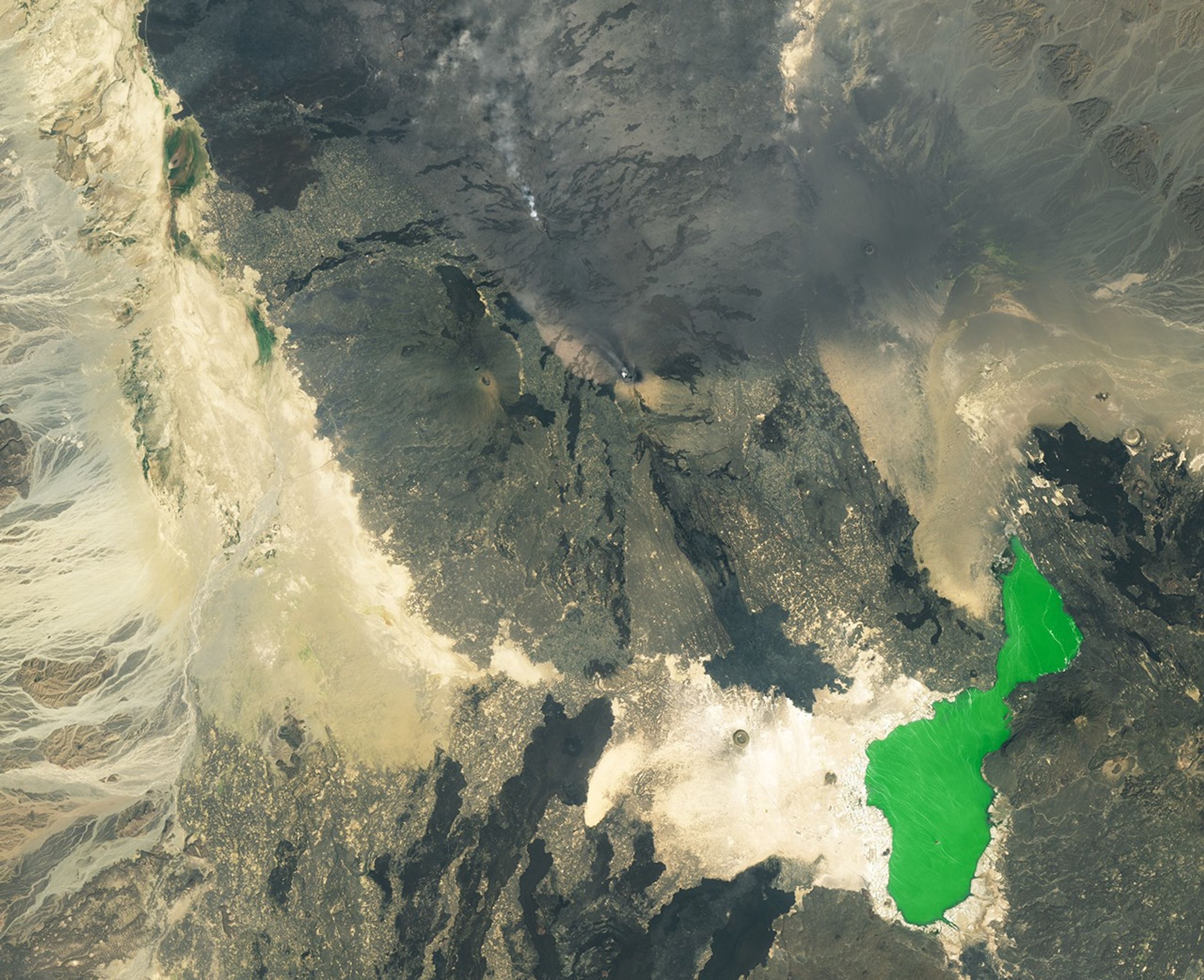 A satellite image shows a volcanic landscape in northern Ethiopia. Small white clouds hover around craters of two shield volcanoes, including Erta Ale toward the top left and Hayli Gubbi in the bottom right. Areas of dark lava are present throughout, and sinuous flows run roughly east and west from the volcanoes. A gray and tan layer of ash covers the ground in the upper right half of the image.
