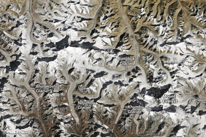 Deeply craggy land, including Mount Everest and numerous glaciers, includes a significant amount of bare rock, light brown. Glaciers include, from left to right,  Bhotekoshi Glacier, Nojumba Glacier, and Khumbu Glacier. The Rongbuk Glacier is located directly above the Khumbu glacier. Mount Everest is in the lower right of the image.