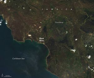 The coastal portion of Jamaica at black river. The land is largely a muted green and brown shade with the Caribbean Sea in the lower left.