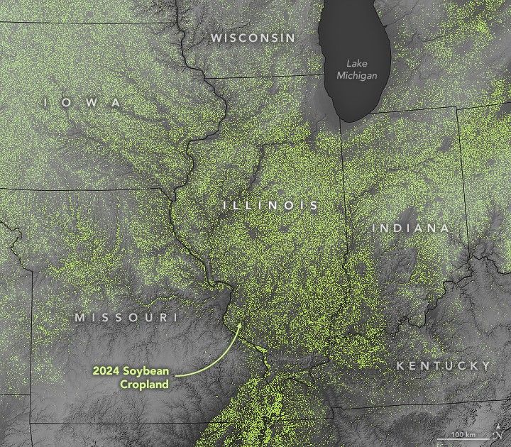 A map view of the north central United states in grayscale with state border overlays. Included in the image are the states of Iowa, Wisconsin, Illinois, Indiana, Kentucky, and Missouri. The landscape is also speckled in green, labeled 2024 Soybean Cropland. The majority of the soybean crop is in the northern part of the image except for the land surrounding the Mississippi River valley. Part of Lake Michigan is also visible at the top of the image, just right of center.