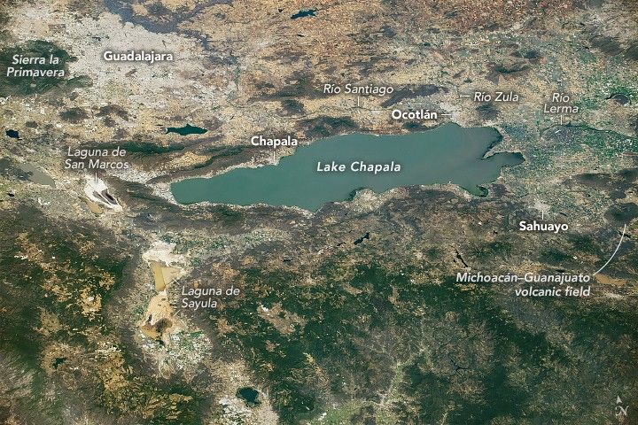 The gray-blue waters of Lake Chapala center in the image. The foreground is speckled with foliage while above the lake the land is more bare, including Guadalajara, which appears more vibrant in color than the surrounding area.