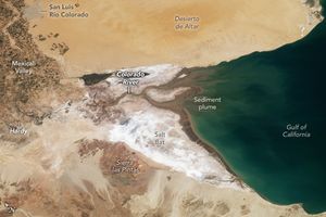 the Colorado River meets the blue-green Gulf of California. The Mexicali Valley in the upper left includes the San Luis Río Colorado on the edge of the Desierto de Altar sandy region across the top of the image. At the edge of the gulf the land is white with salt. Below the salt is a light brown land region with light sand around it labeled Sierra last Pintas.