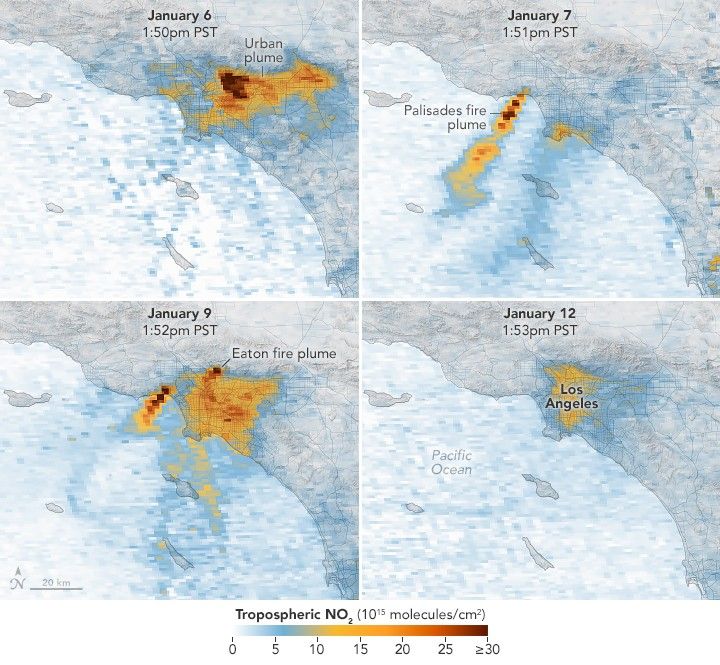 four images of greater Los Angeles representing January 6,7,9, and 12 have an overlay of Tropospheric NO2 levels. Each of the images show elevated levels in comparison to the surrounding region, the 6 and 12 dates with the largest covered region, the 7th with an isolated Palisades fire plume.