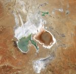 A satellite image centers on Lake Eyre in the Australian outback. Two large lobes in the southern part of the lake contain water. The one to the left appears green, and the one on the right is a rusty red. The lakebed to the north is bright and appears dry. The surrounding desert appears in shades of orange and tan.