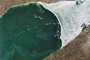 This image of Lake Erie shows the right side of the lake covered in ice, the waters on the left are bluegreen in color. The surrounding land is brown in color and along the lower coast Erie is labeled on the right edge of the image.