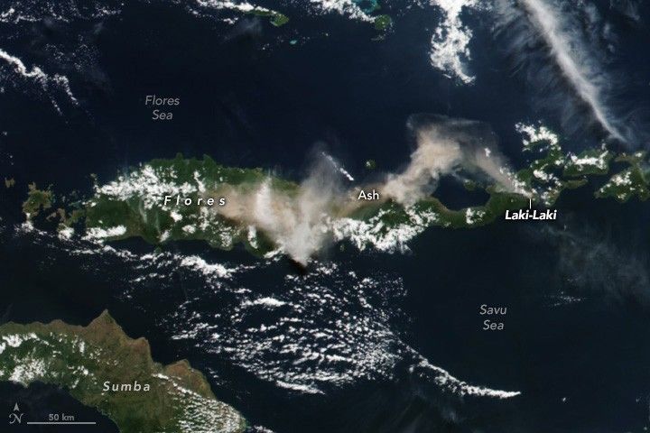 Laki-Laki is labeled at the right end of the horizontally oriented stretched Flores Island. Surrounded by deep blue waters, the Flores sea above and the Savu Sea below.  Another island, Sumba, is visible in the lower left corner of the image. The view of rich green foliage of Flores island is partially obstructed by a near white ash cloud streaming from Laki-laki