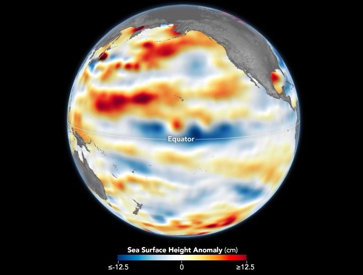 Map of the Earth centering the Pacific Ocean with a color-coded overlay of the sea surface heigh anomaly. neutral is white and increased height are increasingly darker shades of red, while lower heights are blue. The max deviation from neutral is 12.5 cm. The lowest deviation is at the equator with alternating bands of higher and lower heights with the most significant height just above the equator on the Asia side of the Pacific