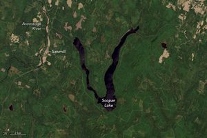 The V shaped Scopan Lake, oriented with the open end up, is surrounded by green, relatively flat land. To the left of the lake the Aroostook River runs from the top  before meandering to the left in the center. Another branch of the river proceeds to the bottom of the image. A sawmill is labelled in some cleared land along the river in the center left of the image.
