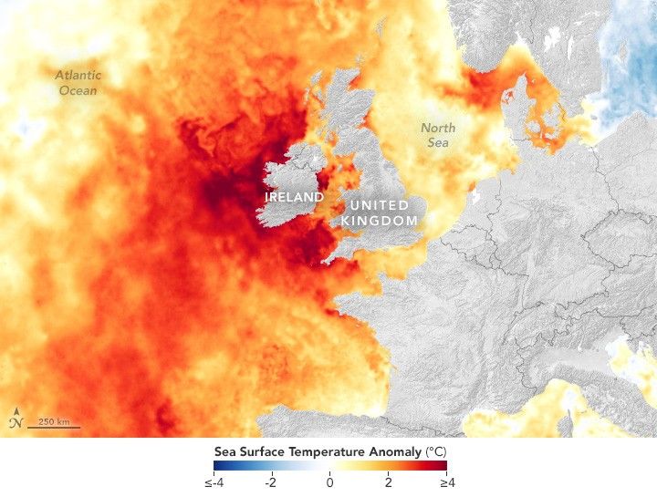 Image of Northern Europe, centering the UK and Ireland. The land is depicted in grayscale and the ocean color coded to temperature anomaly.