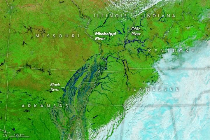 The very green landscape shows the Ohio River, Mississippi River and Black River. They are all breeching their banks. The spave between the Black (left) and Mississippi (center) Rivers is more blue than green with water. The lower right corner of the image appears a powder blue with blanket cloud cover.