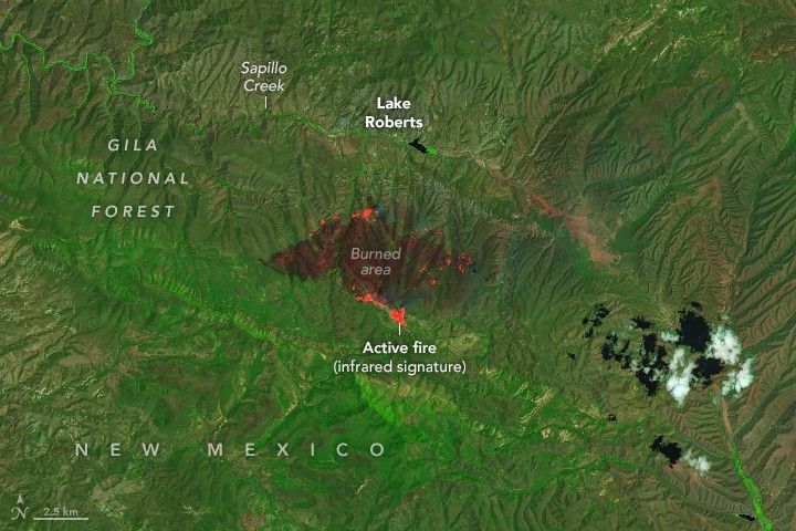 Amid the green foliage of the Gila National Forest, composed of many ridges and valleys, is a large burned area in a dark brown color, active fire is visible as orange in a ring around the edge of the burned area. This is an infrared signature. Directly north of the burn is Lake Roberts along Sapillo creek which run from the upper left  and the river valley curves to to the lower right after flowing into Lake Roberts