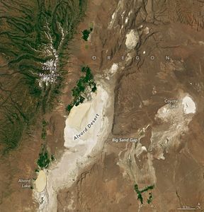 The Alvord Desert centers in the image, bright white and low lying compared to the surrounding landscape. To the upper left is Steens Mountain, the peaks are covered in white snow, but the valleys sprawling away are covered in a deep green foliage. There is more deep green foliage along the left side of the Alvord Desert, just above Alvord lake at the bottom left and just above the low point of Alvord Desert. The surrounding land is a neutral brown with Big sand gap on the right edge of the Desert. Sporadic white tone earth is spread across the region to the right of Big Sand Gap and another bright white area is labeled Coyote Lake.