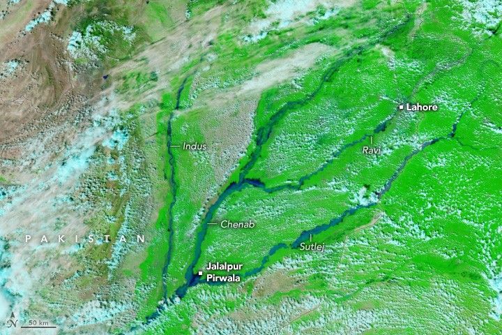 Jalalapur Pirwala is labeled at the convergence of multiple visibly widened rivers in Pakistan, including Chenab and Sutlej. Lahore is labeled upstream on the Ravi river. The Indus river is labeled center left of the image, but is not overly engorged like the other rivers. The landscape between the rivers is vibrant green in this image and the sporadic cloud coverage appears light blue.