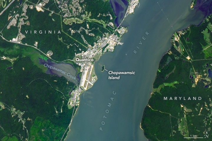 Image of the Potomac River at Quantico. The Chopawamsic island is within the river closer to the Virginia side near the center. The creek by the same name is visible behind the concrete structures of Quantico. The left and right sides of the image are majority covered in deep green foliage with Virginia being on the left and Maryland on the right.