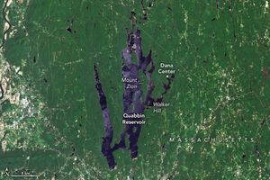 vertical stretched streaks of blue make up the Quabbin Reservoir in the surrounding green foliage of Massachusetts.  Mount Zion is in the midst of the reservoir along the right side. Walker Hill is on the edge of the reservoir just below Mount Zion and the Dana Center is on the edge of the  upper rightmost branch of the reservoir.