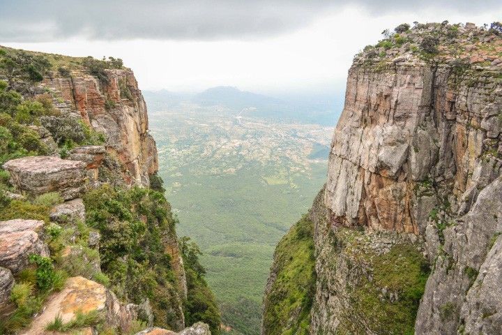 Sheer cliff walls on the right and left sides of this photograph make a V shape in the foreground. Some light green shrubs grow from cracks in the rock. The ground visible in the opening between the cliffs is far below.