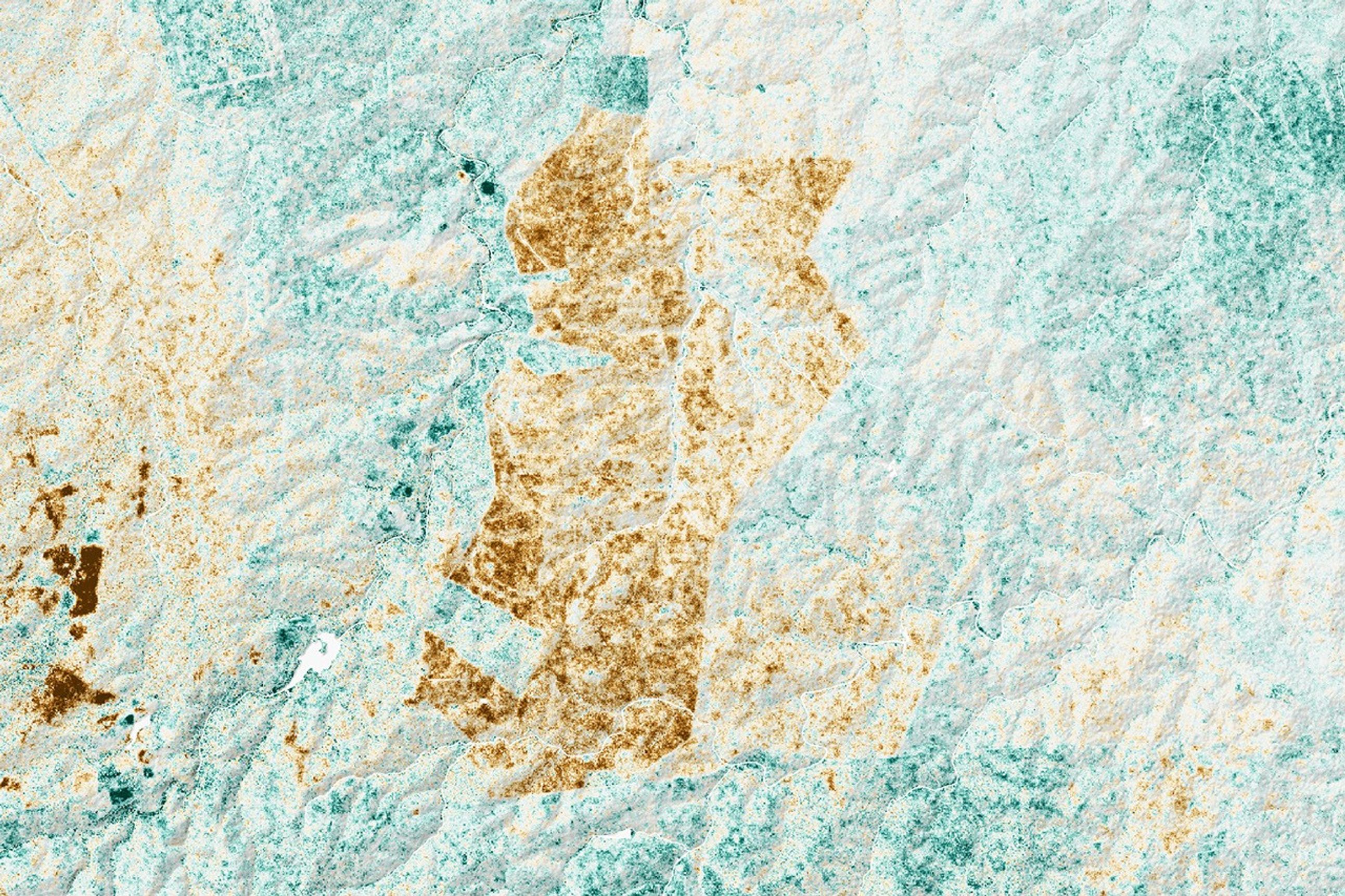 This map shows changes in canopy cover between 2017 and 2021 in and around Thornybush Nature Reserve in South Africa. The reserve is outlined and labeled, with Kruger National Park to the east and the town of Acornhoek to the south. Shades of brown and green indicate canopy cover change: brown areas show decreases in canopy cover (down to –10 percent), while green areas show increases (up to +10 percent). Thornybush Nature Reserve is mostly brown, indicating canopy loss due to the removal of fences and an increase in the elephant population.