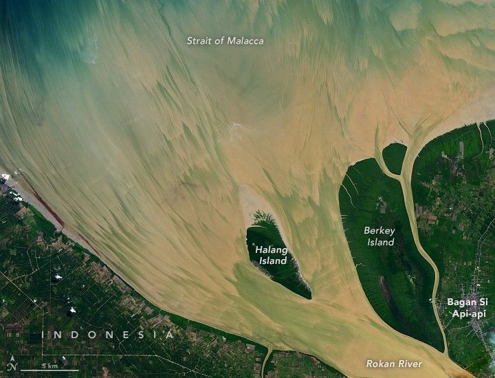 Yellow waters stream out of the Rokan River from the bottom right corner of the image, blending with the blue waters of the strait of Malacca in the upper half of the image. Halang island resides at the mouth of the river and Berkley Island, larger and nearer to a connected landmass is divided by a slight stream of the Rokan River. Bagan Si Api-api is the labeled built up human settlement at the far right edge of the image.