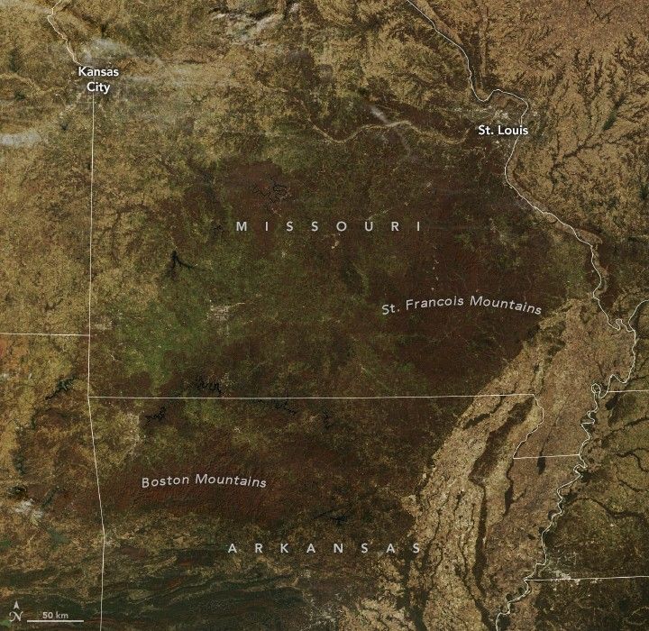 The landscape of Missouri includes tan, sage and a rich auburn. The auburn color is particularly dense around areas labeled the St. Francois and Boston Mountains.