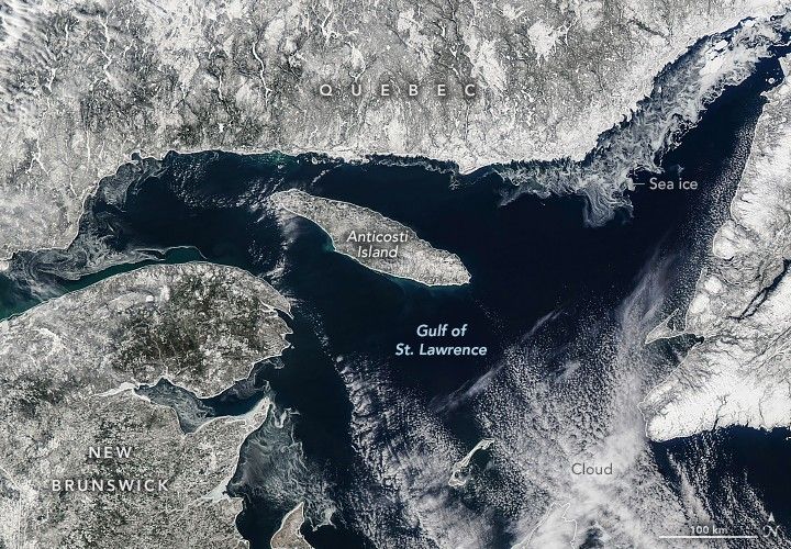 Snow covered land around the Gulf of St. Lawrence includes Quebec along the top of the image with water dividing the majority of the shown land from a peninsula along the right. New Brunswick is shown in the lower left and Anticosti Island is in the image center. Some thin sea ice swirls in the dark waters in the upper right on the coast of Quebec. Clouds obscure the bottom right of the image somewhat.