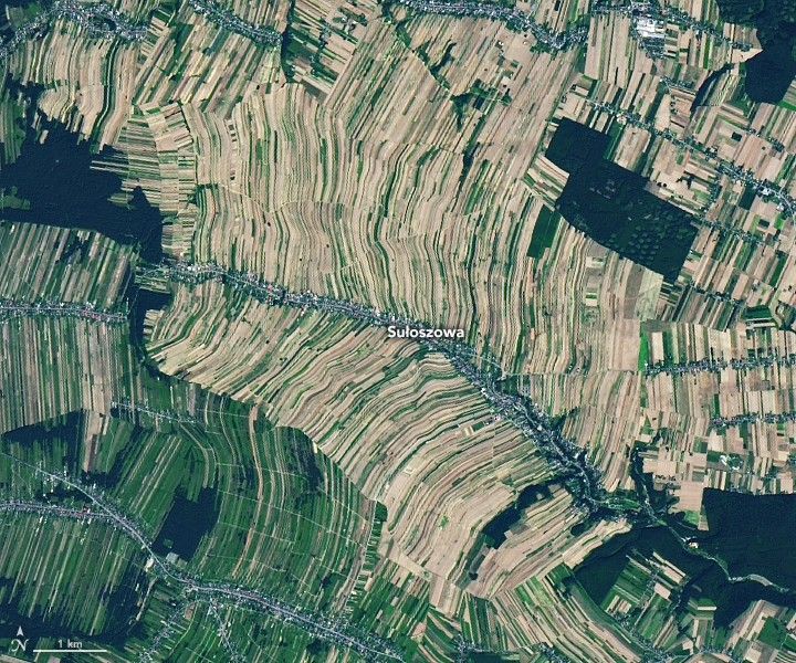ribbons of farmed fields dominate the landscape, with the majority appearing a light beige color, except in the lower left, which is green.  A road spans the image and the center of the image, on this road, is labeled Sulozowa.