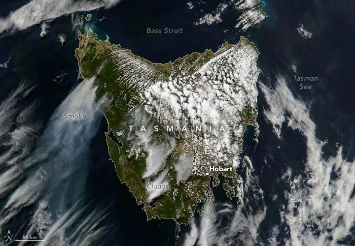 Tasmania centers in this image the the dark blue Bass Strait above and Tasman Sea to the right. Smoke streams from the green land in the upper left of Tasmania, down and left. The dense gray color of smoke disperses to a translucent shade before disappearing under and into clouds. The left coast and off coast appear to have many thinner sheets of cloud cover. As you move to the right in Tasmania the clouds become dense bright white clumps. The town of Hobart along the South coast is labelled.