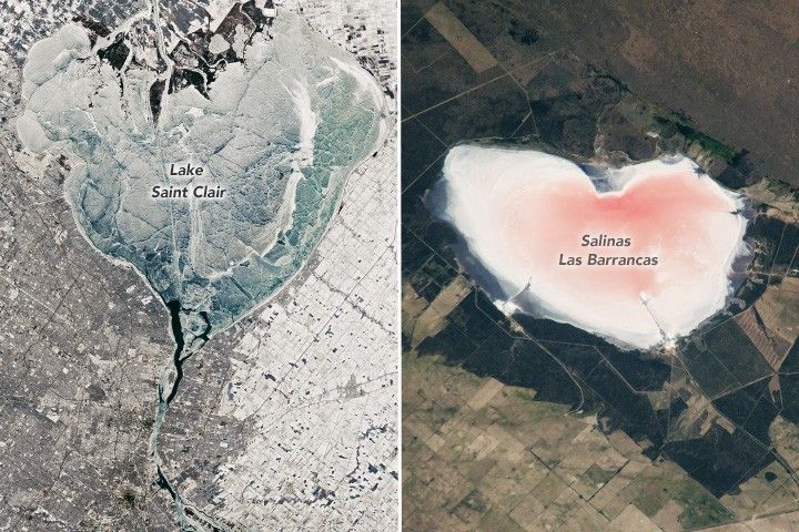 Two side by side photos of heart shaped lakes. Lake Saint Clair, left, is ice covered and slightly blue in color, surrounded by snow covered land. The lake on the right is Salinas Las Barrancas. This lake appears white and pink in color surrounded by farm fields.