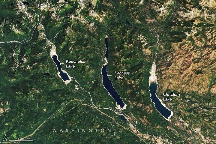There are three curved and vertically elongated lakes run parallel in the between the deep green foliage covered mountainous terrain of Washington. The lakes show a lot of lakebed around the fringes of the shoreline, appearing bright white.