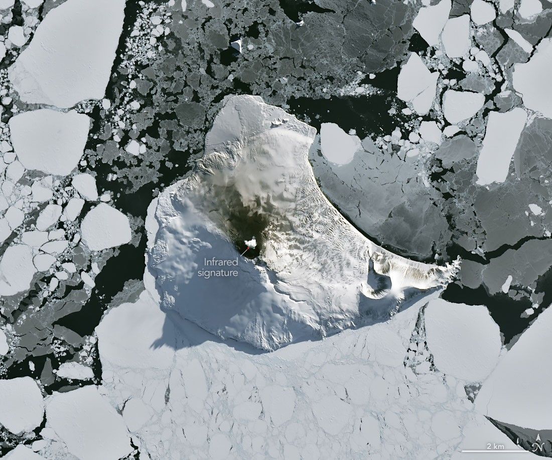 A small ice- and snow-covered island with an active volcanic crater at its center is surrounded by drifting pieces of sea ice. A thermal signal and small plume appear in the crater, and ash darkens the snow on the volcano’s northern slopes.