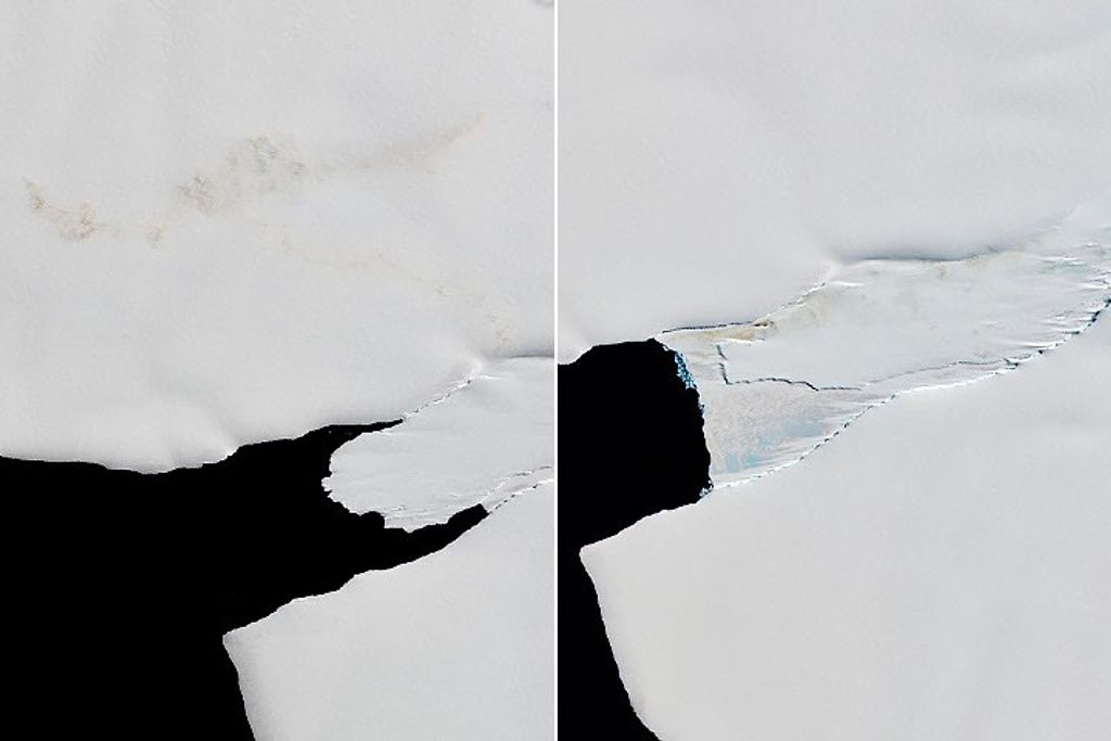 A Changing World for Emperor Penguins
