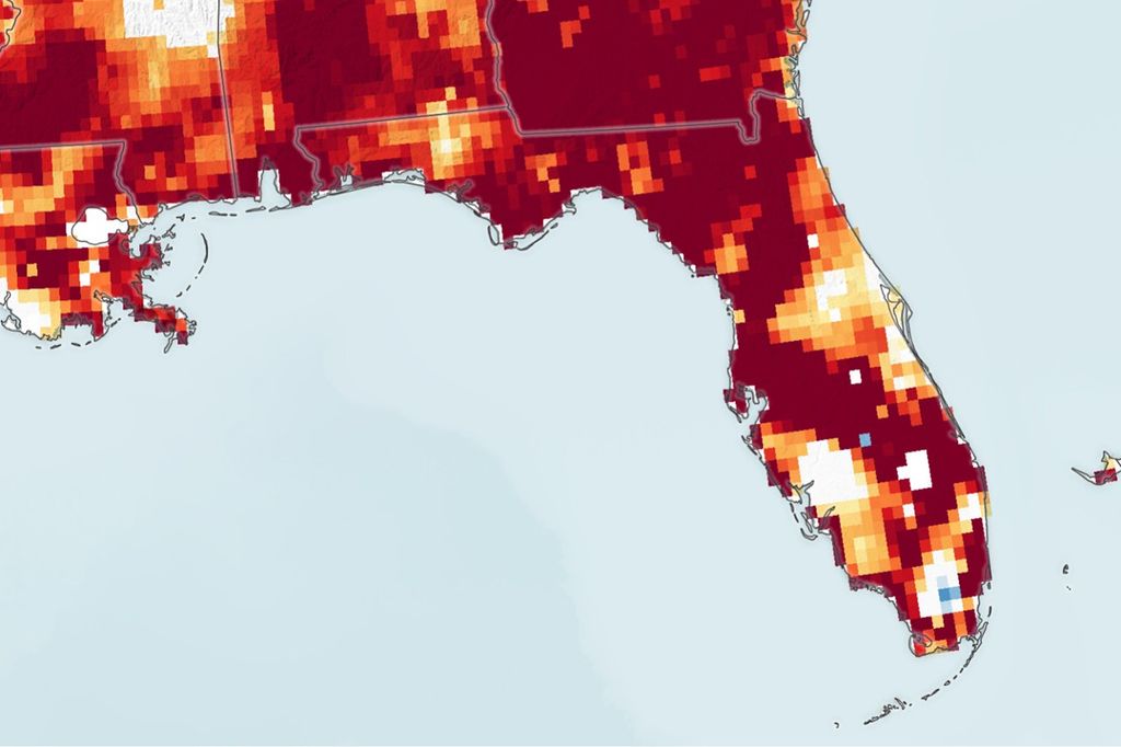 Drought Parches Florida